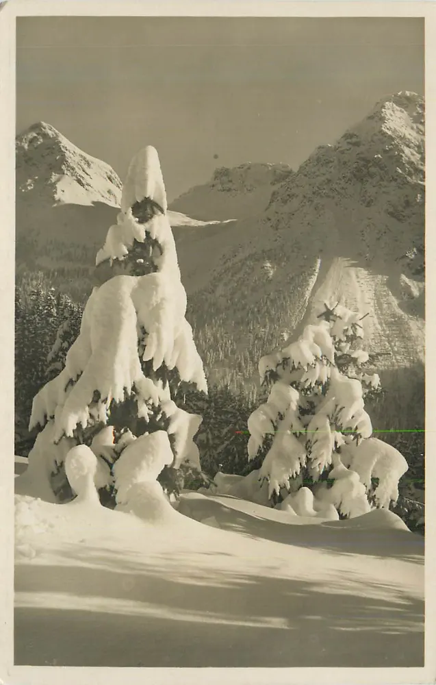 Paisagem invernal na montanha — árvores nevadas — editor desconhecido - Frente