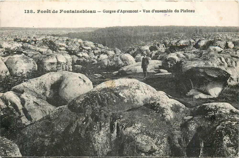 Forêt de Fontainebleau — Gorges d'Apremont — Überblick über den Plateau - Vorderseite