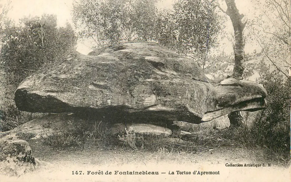 Wald von Fontainebleau — Die Schildkröte von Apremont — Künstlerkollektion L. M. - Vorderseite