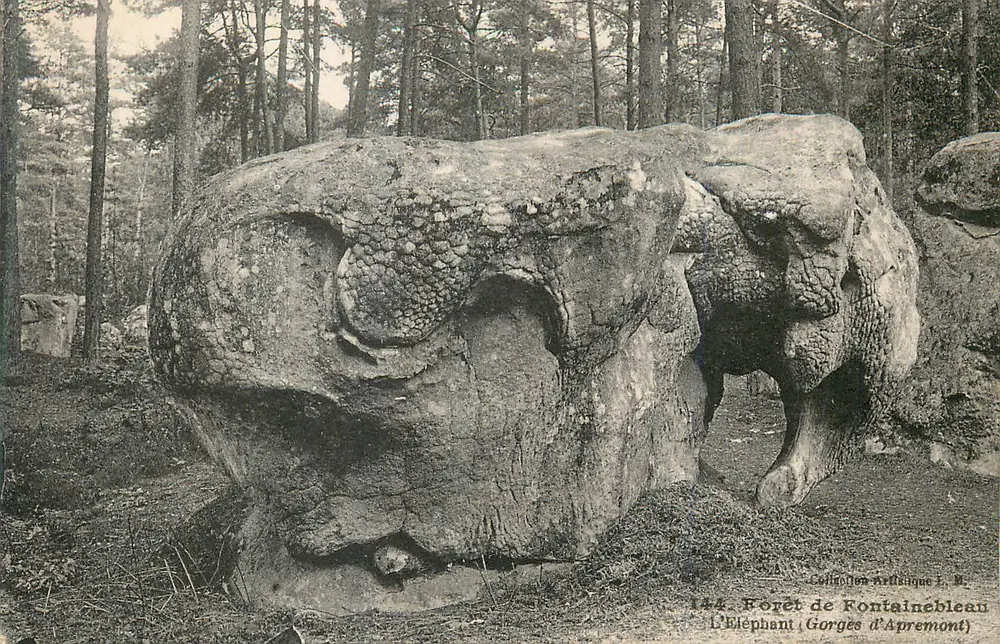Der Elefant — Forêt de Fontainebleau — Künstlerische Sammlung L. M. n°144 - Vorderseite