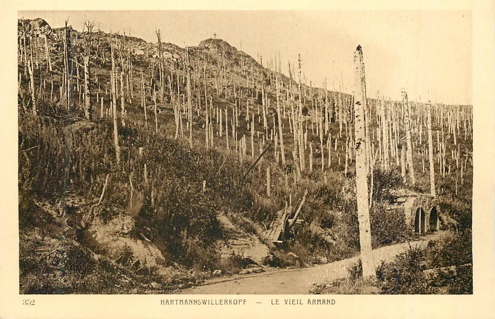 Hartmannswillerkopf — O Velho Armand — 352 - Frente