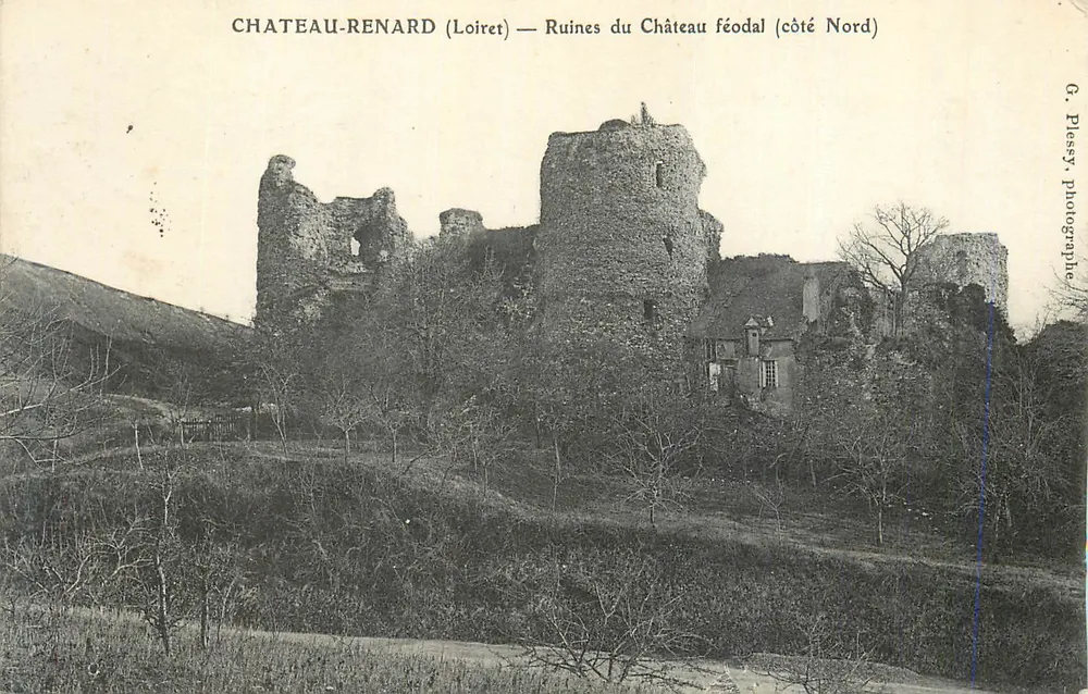 Château-Renard (Loiret) — Ruinen des feudalen Schlosses (Nordseite) — G. Plessy, Fotograf - Vorderseite