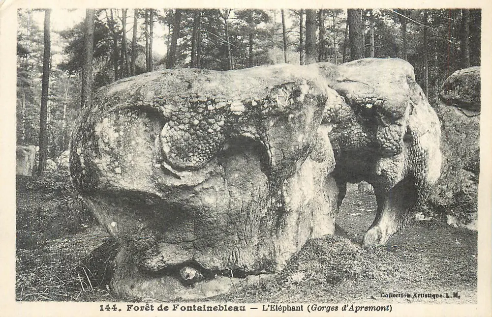 Forêt de Fontainebleau — Der Elefant (Gorges d'Apremont) — Künstlerische Sammlung L.M. n°144 - Vorderseite