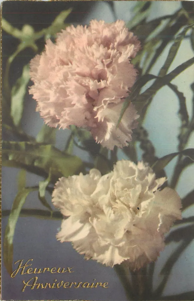 Flores de cravos — Feliz Aniversário — carta postal - Frente