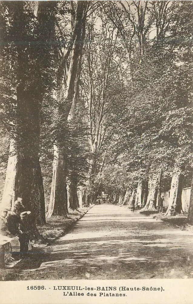 Die Allee der Platane — Luxeuil-les-Bains (Haute-Saône) — n° 16596 - Vorderseite