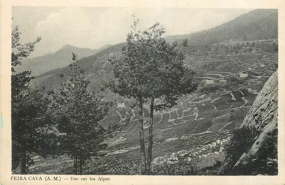 Peira-Cava (A.M.) — Ansicht der Alpen - Vorderseite