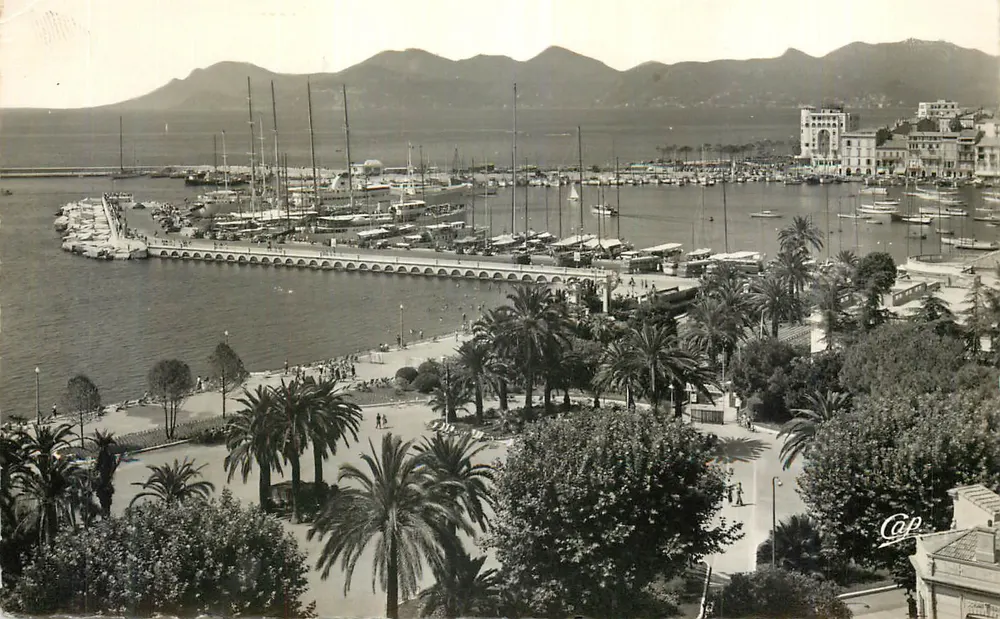Hafen von Cannes — Ansicht des Hafens mit Yachten und Palmen — Verlag Cap - Vorderseite