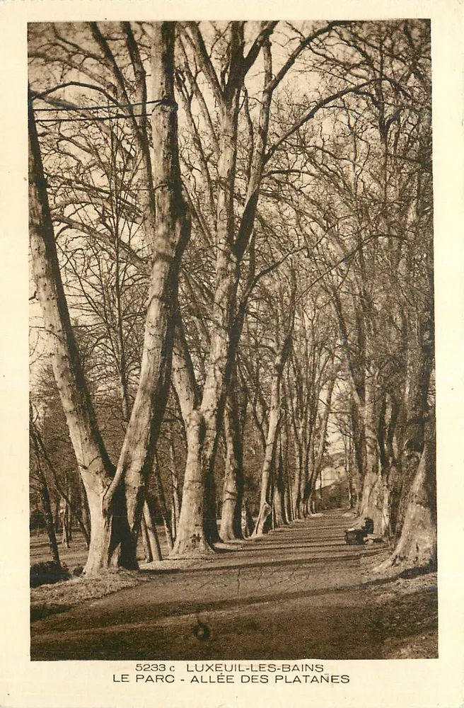 LUXEUIL-LES-BAINS — LE PARC - ALLÉE DES PLATANÈS — éditeur C. Lefebvre, n° 5233c - Recto