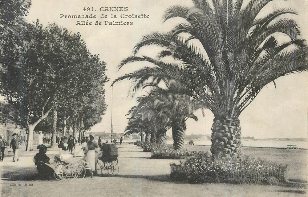 Cannes — Promenade de la Croisette, Palmengasse — Edition C.H. Ria - Vorderseite