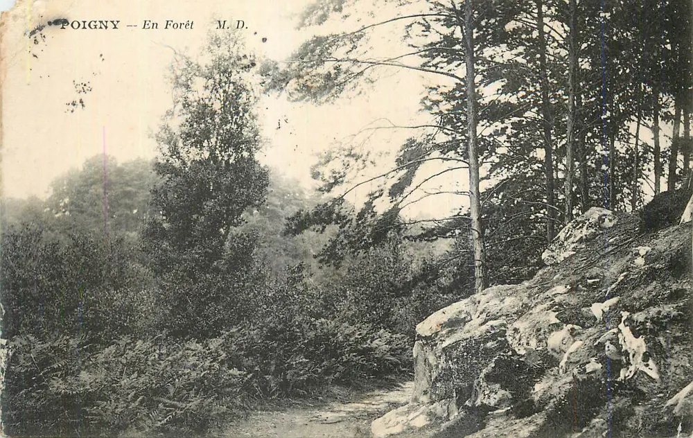 Poigny — En Forêt — M. D. - Frente