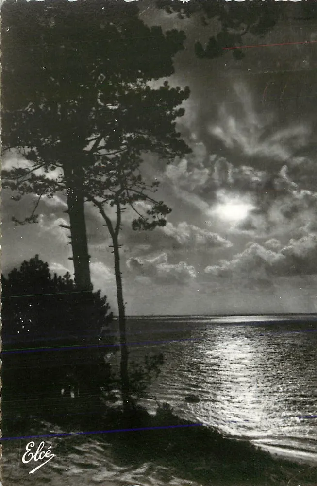 Paisagem marítima com pinheiro — Elcée - Frente