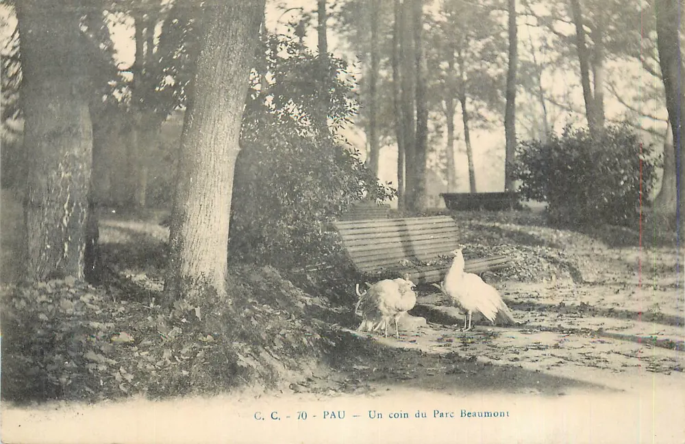 Un rincón del Parque Beaumont — Pau — C. C. - 70 - Anverso