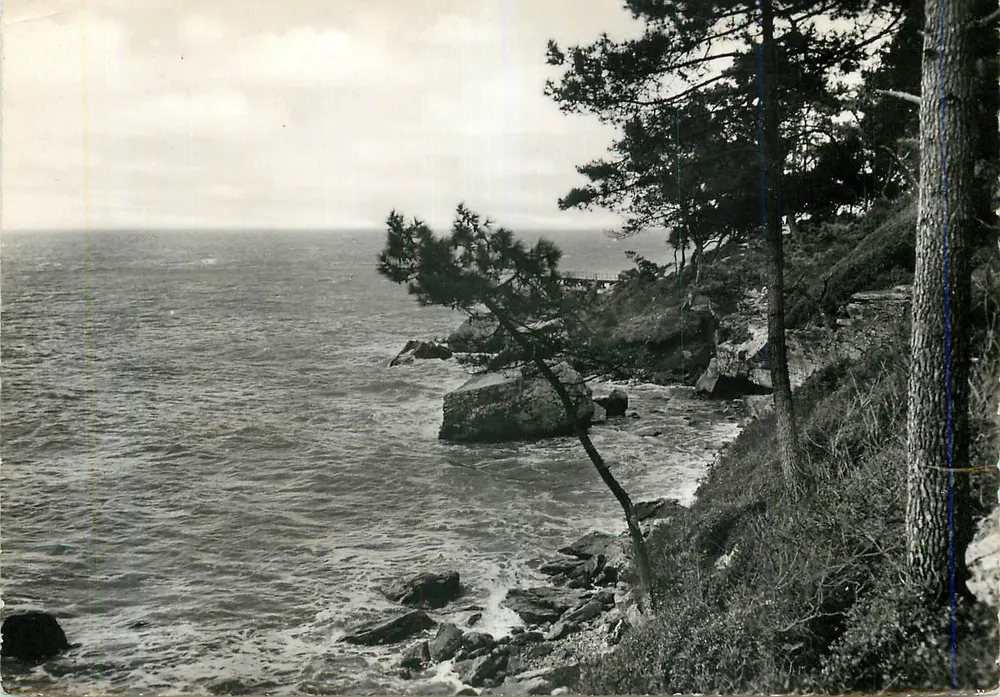 Ansicht der Küste — Felsen und Kiefern — Verlag nicht sichtbar - Vorderseite