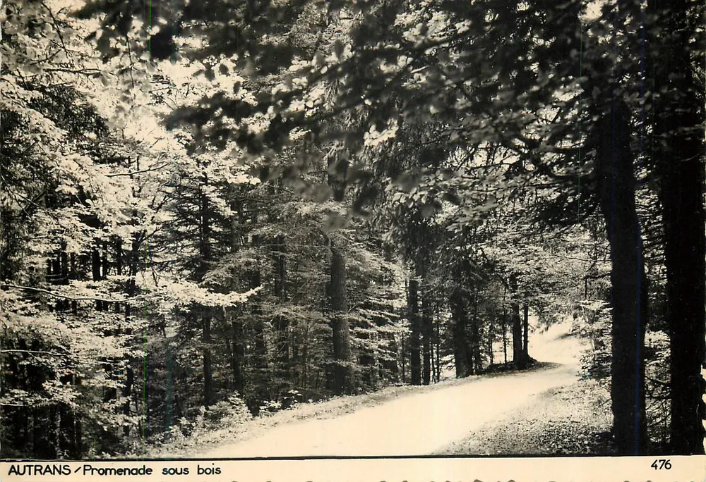 Autrans — Caminhada sob as árvores — editor desconhecido, n° 476 - Frente