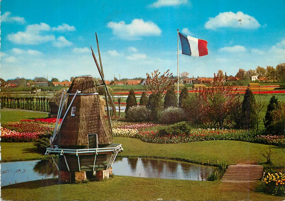 Windmühle — Tulpen-Garten — Französisches Flagge — Frankreich - Vorderseite