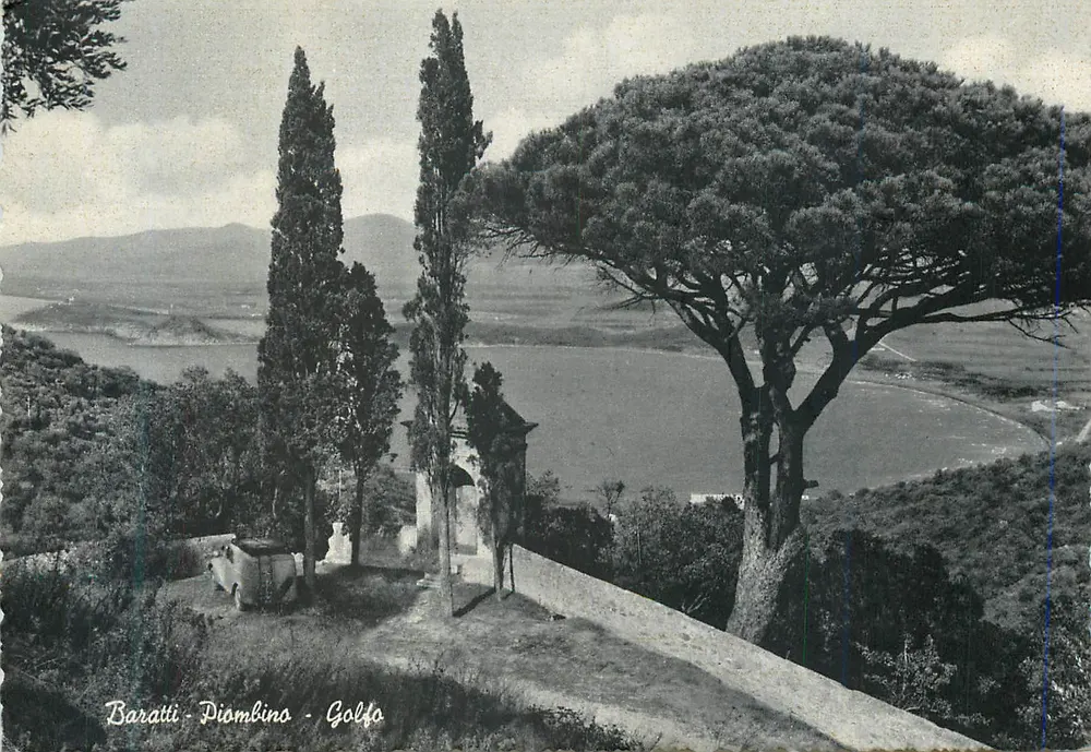 Baratti - Diombino - Golfo — vista panorâmica com pinha e ciprestes - Frente