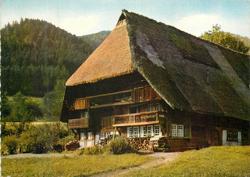Casa de madeira com telhado de colmo — Alpes suíços — editor não visível - Frente