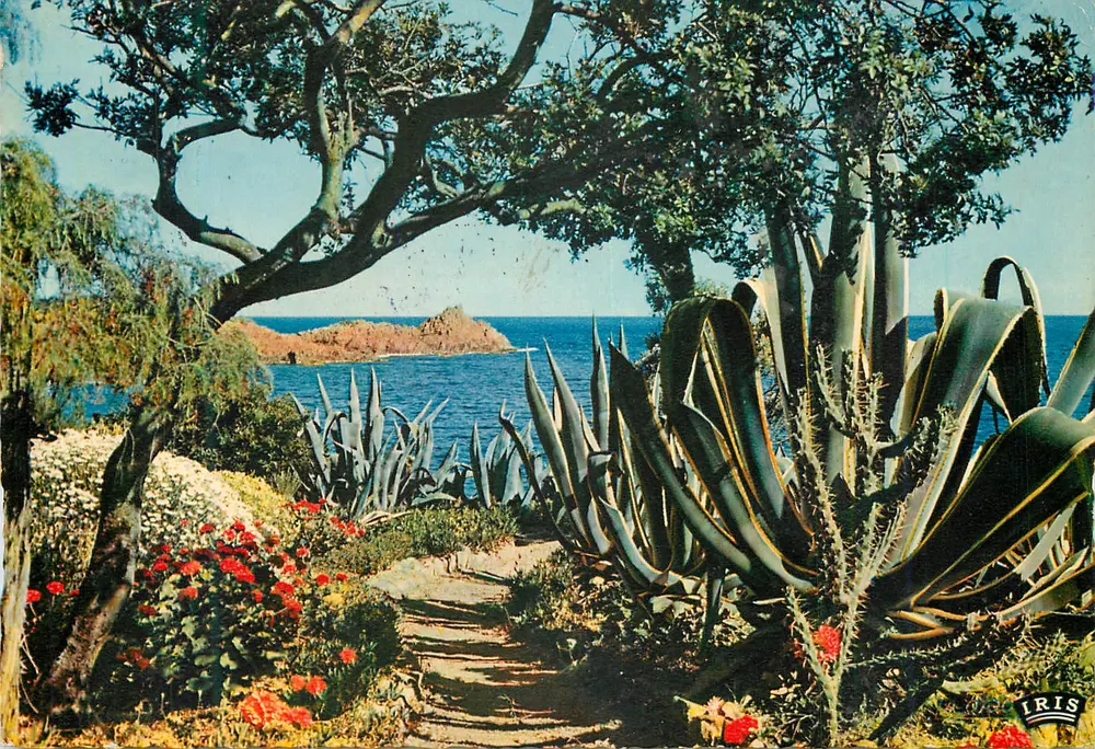 Vista do mar através de um jardim — editor IRIS - Frente