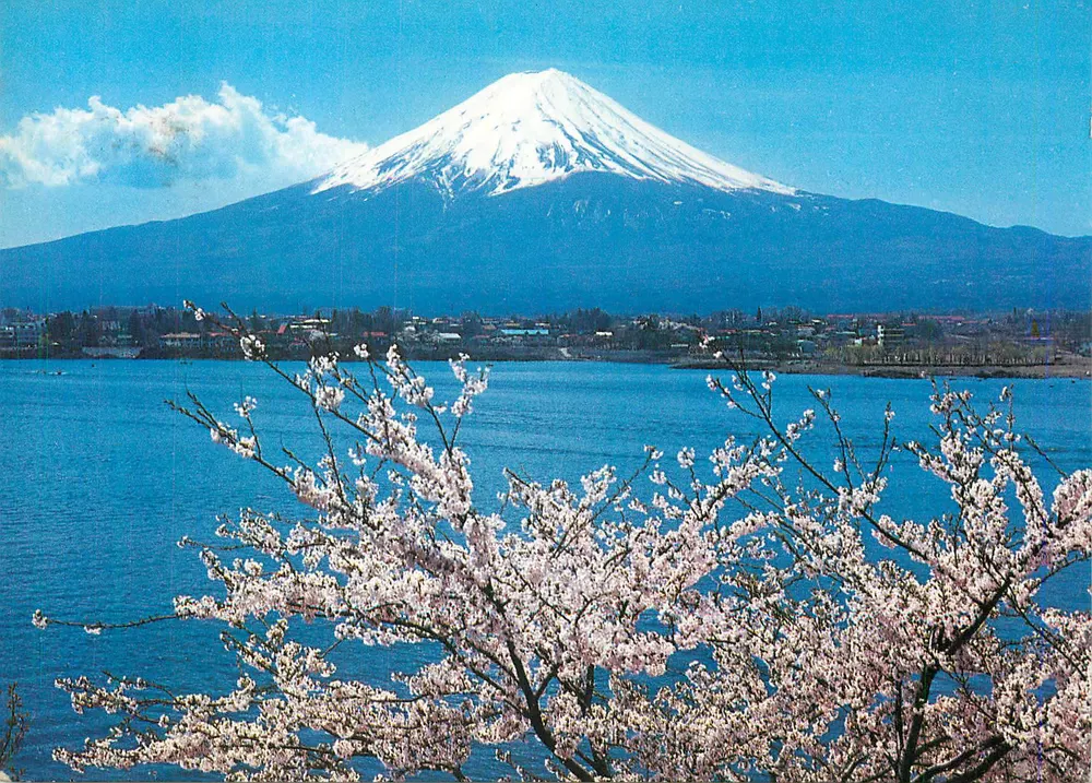 Mount Fuji — Ansicht von einem See mit blühenden Kirschbäumen — Verlag nicht sichtbar - Vorderseite