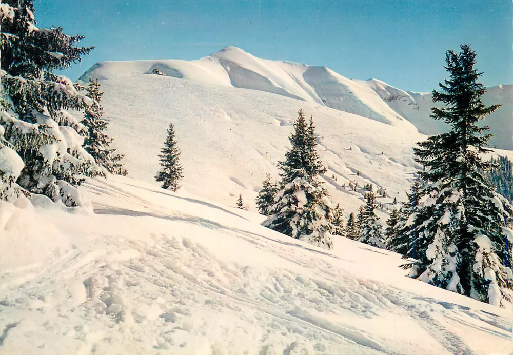 Winterlandschaft — schneebedeckte Berge und Tannen — Verlag unbekannt - Vorderseite