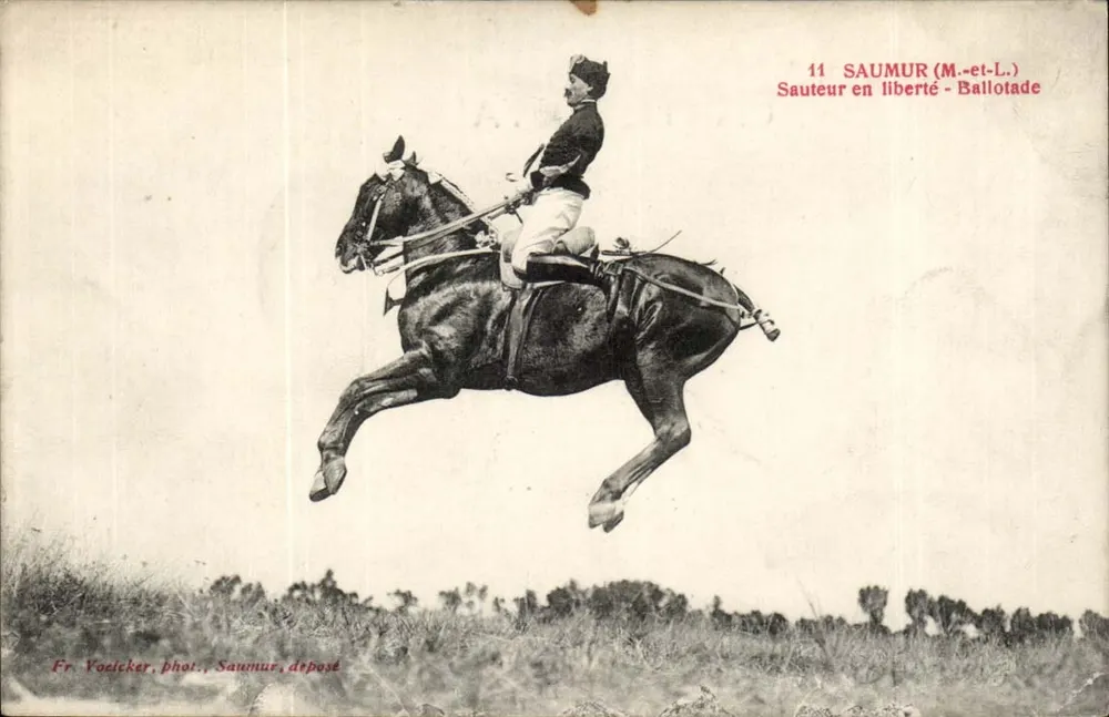 Sautateur en liberté - Ballotade — Saumur (M.-et-L.) — Fr. Yoeicker, phot. Saumur, déposé - Recto