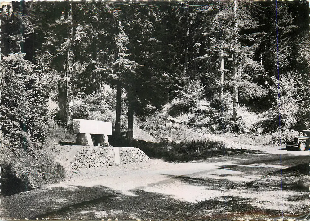 Steinbank im Wald — Waldstraße — Militärfahrzeug im Hintergrund - Vorderseite