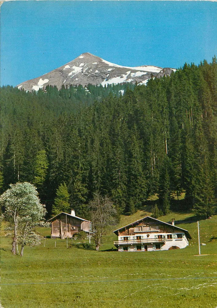 Chalé alpino — montanha nevada no fundo — editor não identificável - Frente