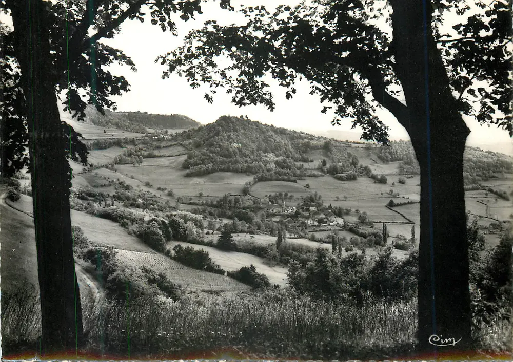 Vista di campagna — vista cornice di due alberi — Cim - Recto
