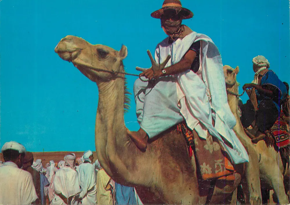Dromedarier in beweging — Algerijnse Sahara — uitgever niet zichtbaar - Voorkant
