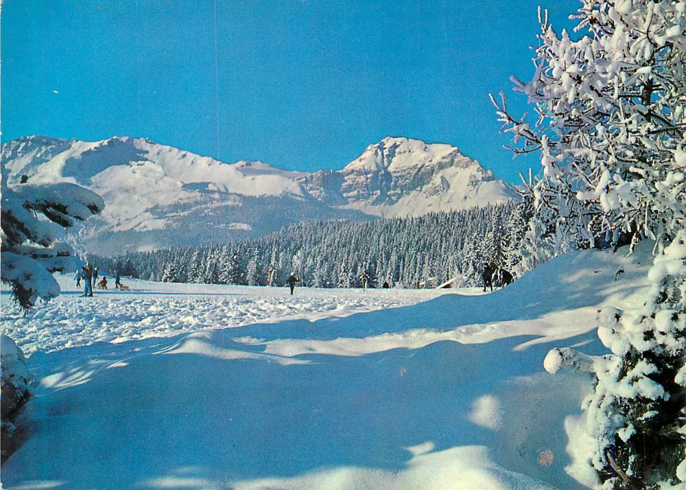 Monts de la Vanoise — schneeverdecktes Landschaftsbild — Verleger nicht sichtbar - Vorderseite