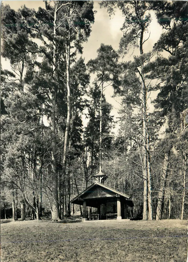 Pavilhão em uma floresta de pinheiros — editor não identificado - Frente