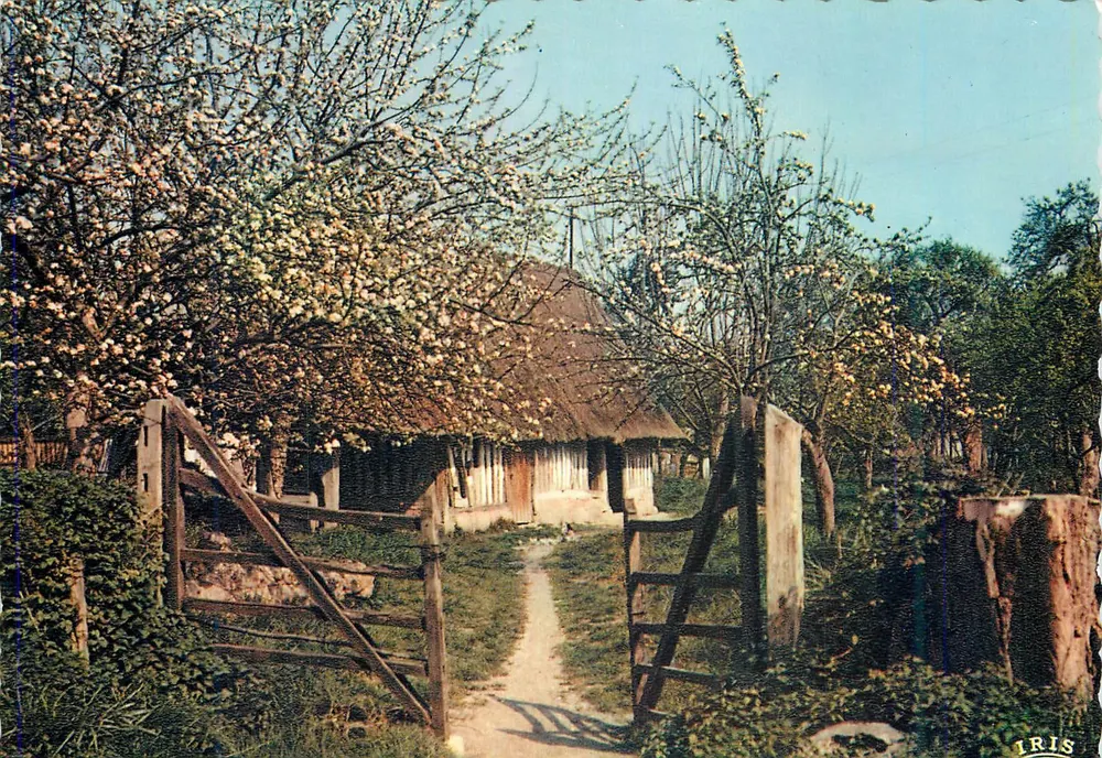Landschaft mit Dach aus Stroh — Verleger IRIS, Seriennummer nicht sichtbar - Vorderseite