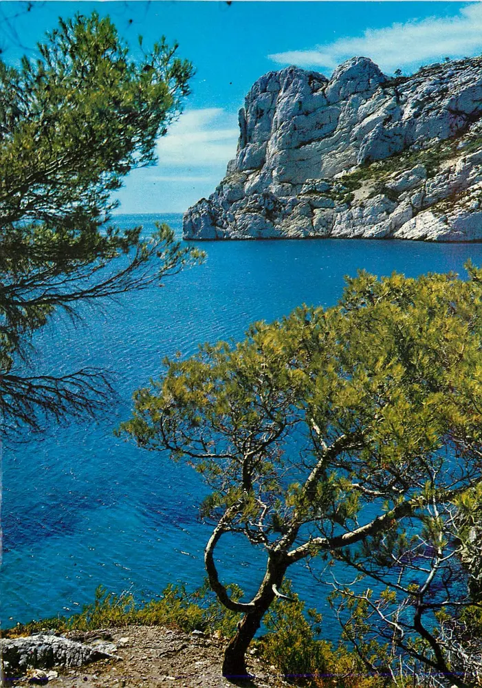 Vista do Mar Mediterrâneo — falésia calcária e pinheiros — editor não visível - Frente
