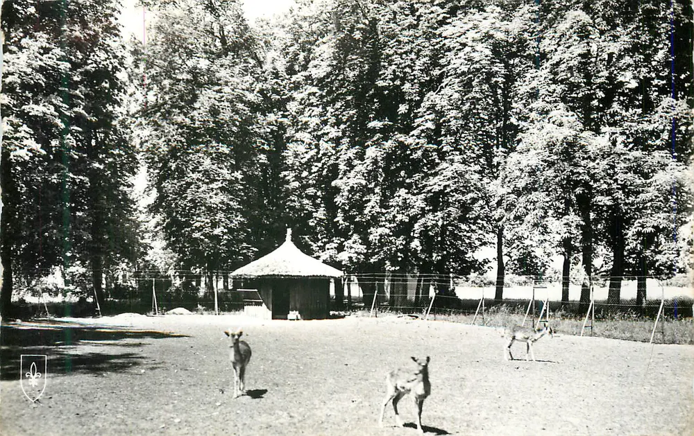 Hirschfeld in einem Waldpark — unbekannter Verlag - Vorderseite