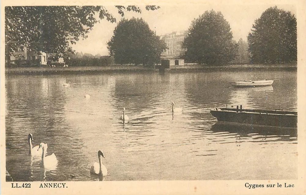 Cisnes no Lago — Annecy — LL.422 - Frente