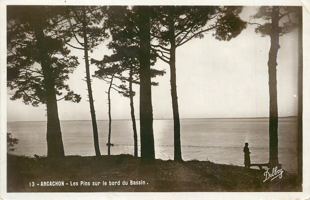 Arcachon — Die Kiefern am Rand des Beckens — Delbroy - Vorderseite
