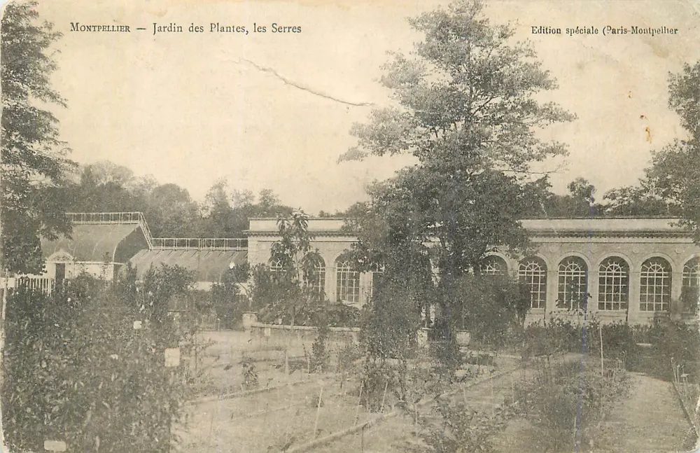 Montpellier — Jardin botanique, die Gewächshäuser — Sonderausgabe (Paris-Montpellier) - Vorderseite