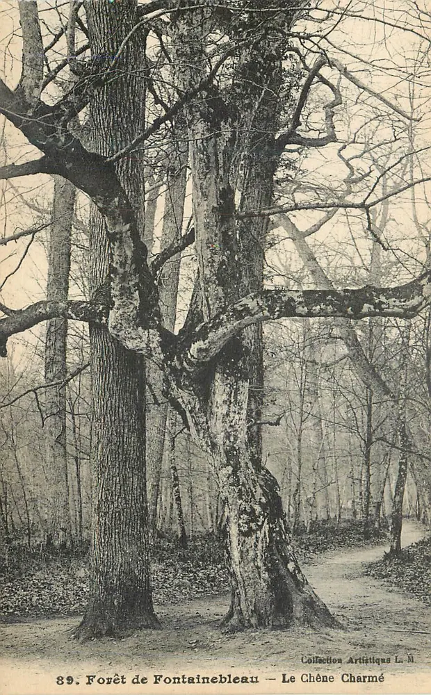 Floresta de Fontainebleau — O Carvalho Encantado — Coleção Artística L. M. - Frente