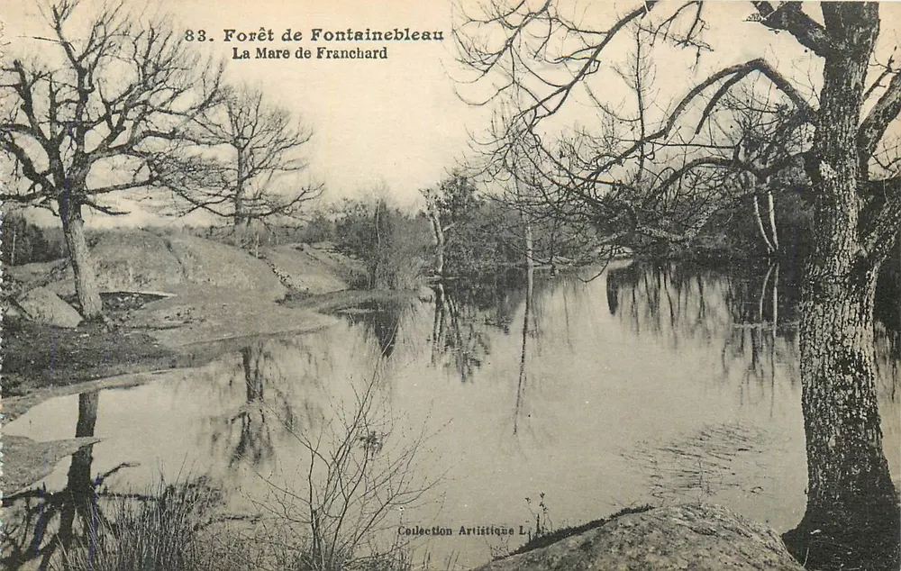 Wald von Fontainebleau — La Mare de Franchard — Künstlerische Sammlung L, Nr. 83 - Vorderseite