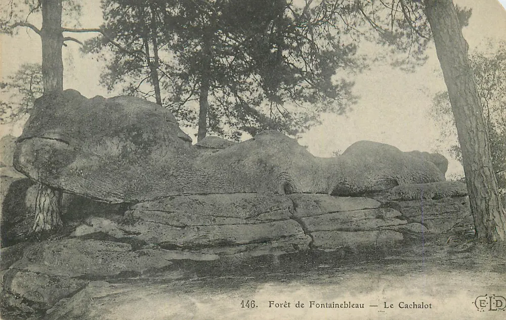 Floresta de Fontainebleau — O Cachalote — Editor E.D. n°146 - Frente