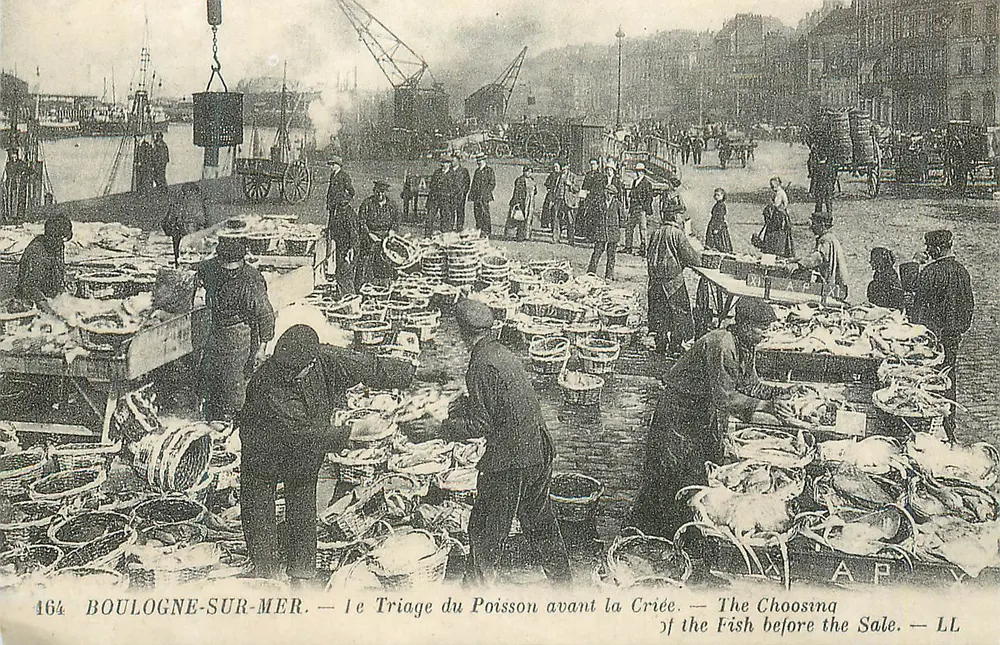 Boulogne-sur-Mer — Triagem do Peixe antes da Venda — AP, n° 164 - Frente