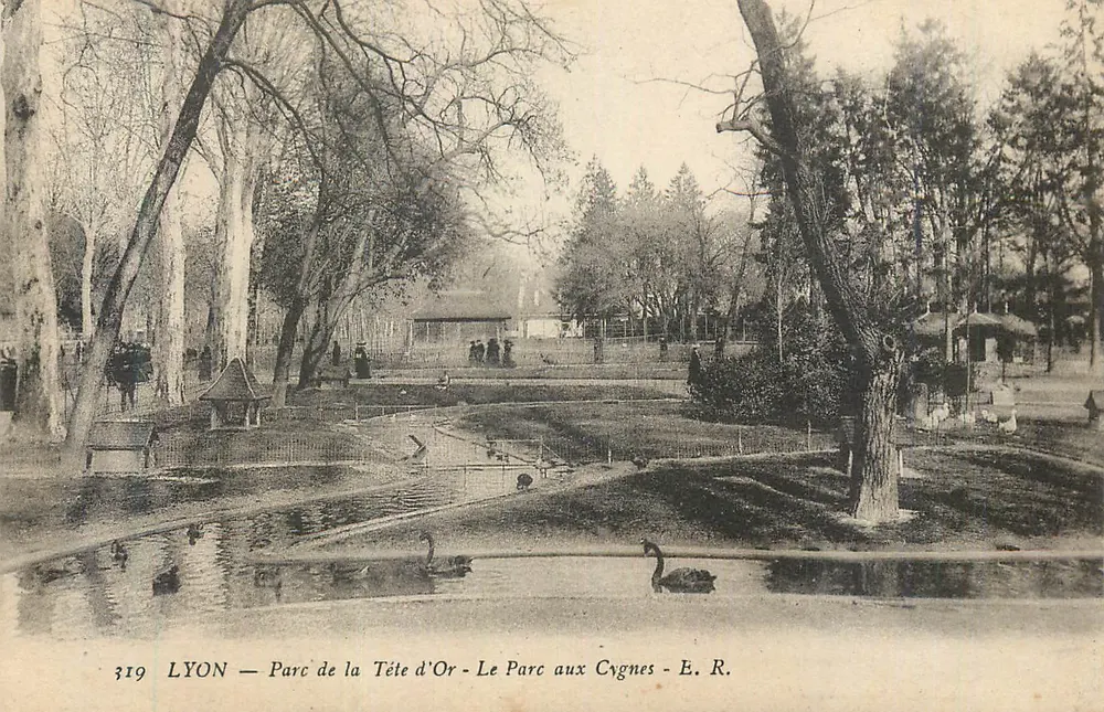 LYON — Parc de la Tête d'Or — Le Parc aux Cygnes — E. R. - Vorderseite