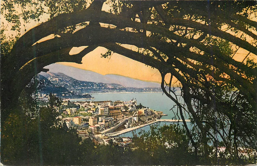 Vista da cidade e do porto — vista tirada de uma árvore — editor não visível - Frente