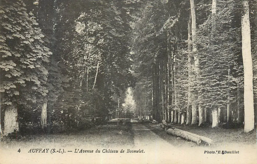 Auffay (S.-I.) — Ansicht der Avenue du Château de Bosmelet — Photo E. Douillet - Vorderseite