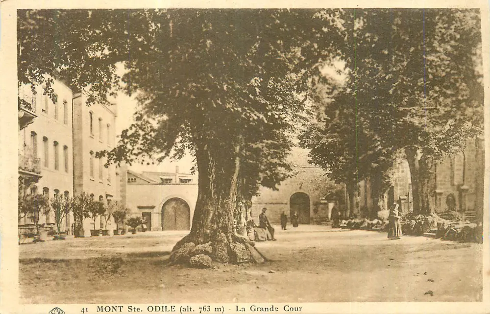 Mont Ste. Odile (Höhe 763 m) — Die Grande Cour — Verlag: A. Lefebvre, Nr. 41 - Vorderseite