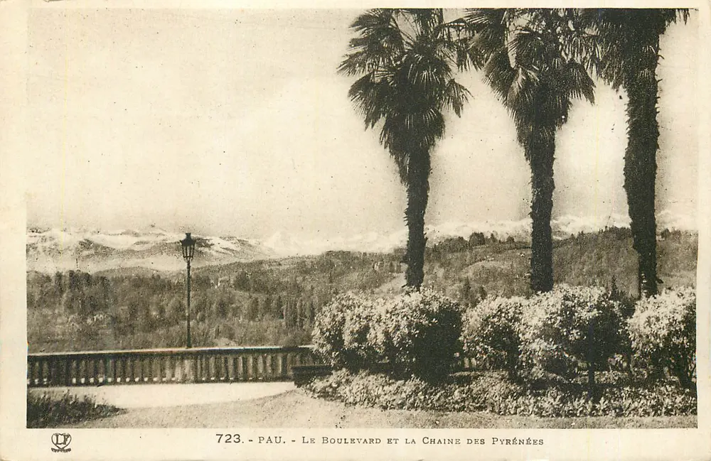 Pau — Der Boulevard und die Pyrenäen — Verleger L. P. Nr. 723 - Vorderseite