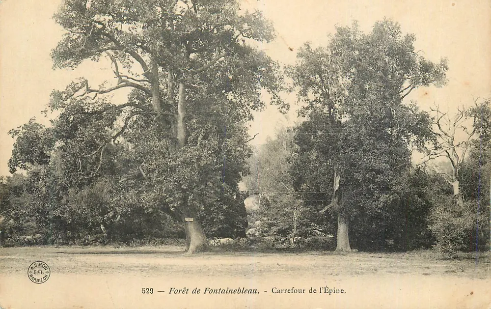 Floresta de Fontainebleau — Cruzeiro da Espinha — Siron Éditeur, n° 529 - Frente