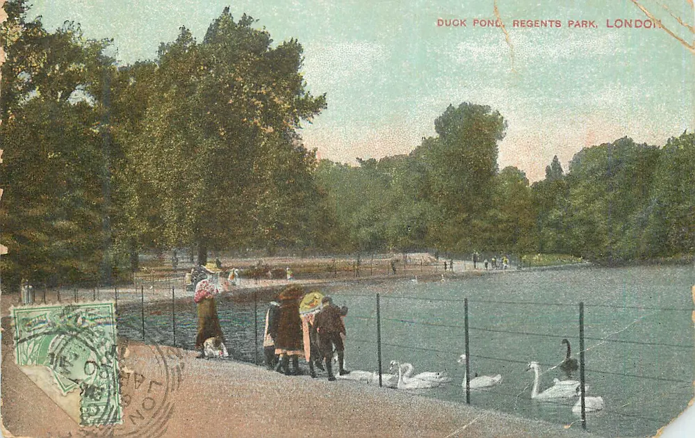 Lago dos Patos, Parque Regents, Londres — vista colorida — editor não identificável - Frente