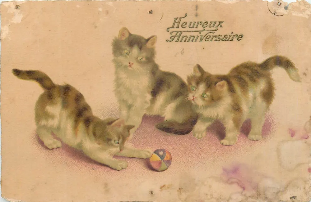 Três filhotes de gato brincando com uma bola — Feliz Aniversário — bilhete postal antigo - Frente