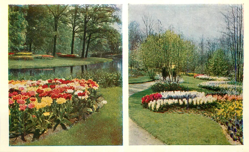 Tulpen-Garten — Überblick — Verlag nicht sichtbar - Vorderseite
